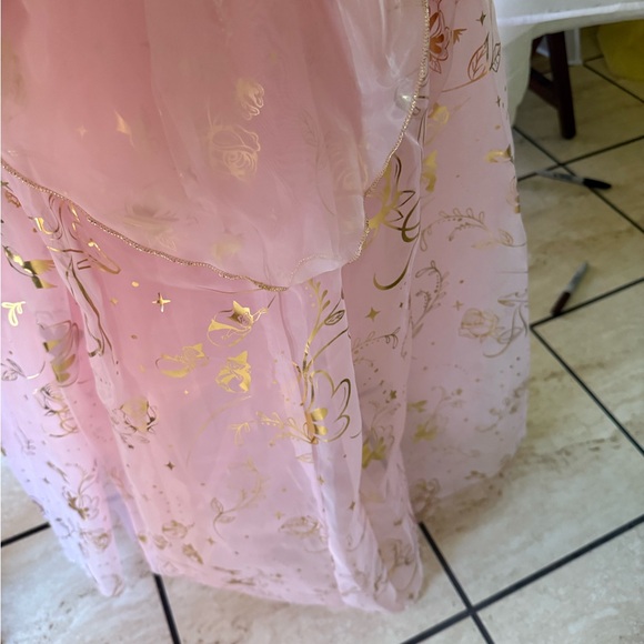 Disney Princess Aurora Dress with Pink and Gold Accents - Picture 5 of 6